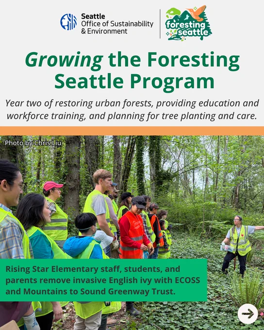 Growing the Foresting Seattle Program. Year two of restoring urban forests, providing education and workforce training, and planning for tree planting and care.  A group of people wearing safety vests stands in a forested area while an instructor gestures toward the vegetation. Tall trees and dense greenery surround the group. The image includes logo for the Seattle Office of Sustainability & Environment and the Foresting Seattle program at the top.
