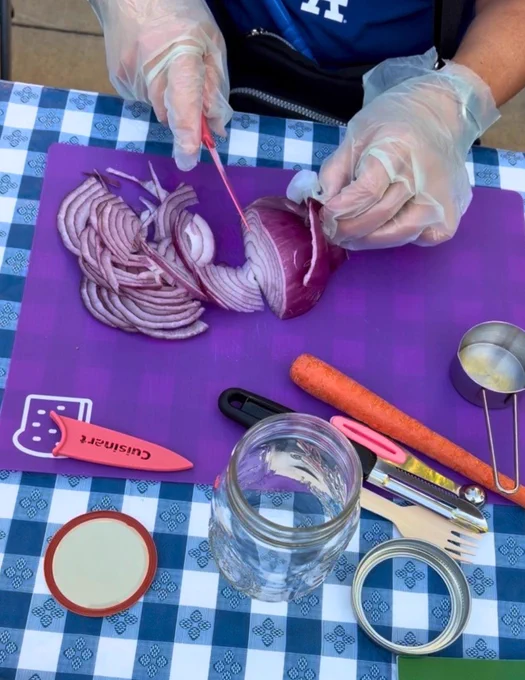 A person wearing gloves slices a red onion on a purple cutting board. Nearby are a carrot, a glass jar with a lid, a small bowl, and a utensil labeled "Cuisinart." The table is covered with a checkered blue and white tablecloth.