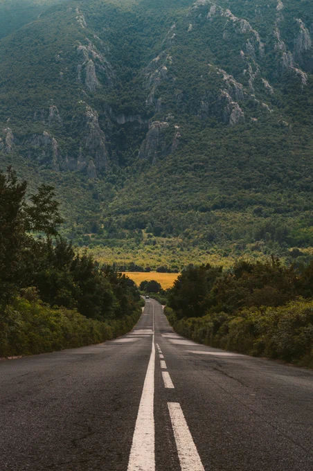 Photography submitted by Evgeni Evgeniev