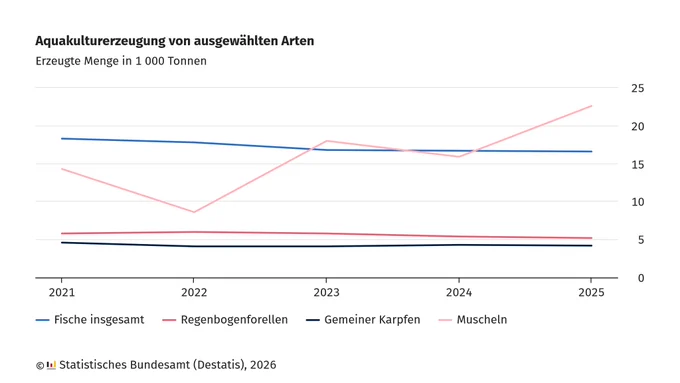 Liniendiagramm zur Aquakulturerzeugung von ausgewählten Arten in Deutschland. Die waagerechte Achse zeigt die Jahre 2021 bis 2025, die senkrechte Achse die erzeugte Menge in 1000 Tonnen von 0 bis 25. Vier unterschiedlich farbige Linien stehen für die Kategorien Fische insgesamt, Regenbogenforellen, Gemeiner Karpfen und Muscheln. Die Linie für Muscheln sinkt von 2021 nach 2022, steigt danach zickzackförmig an und erreicht 2025 einen Höchststand. Die Linien für Fische insgesamt, Regenbogenforellen und Gemeiner Karpfen verlaufen ganz leicht absinkend. Unten links steht der Quellenhinweis: 'Statistisches Bundesamt (Destatis), 2026'.