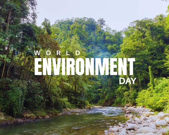 Foto von einem Flusslauf im Regenwald. Der Fluss ist bis an die Ufer dicht mit Bäumen und Pflanzen bewachsen. Im Zentrum steht: „World Environment Day“.