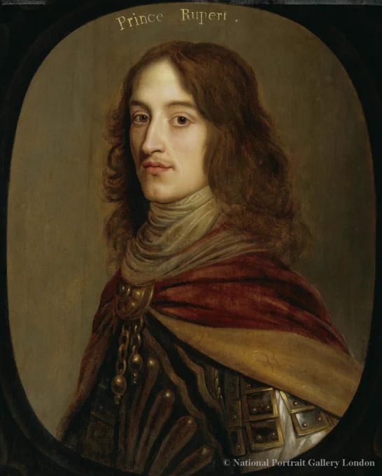 Prince Rupert, the royalist commander
© National Portrait Gallery
