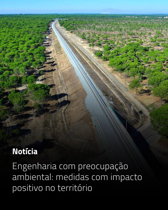 No Dia Mundial do Ambiente, destacamos algumas das intervenções que refletem o compromisso da Infraestruturas de Portugal com infraestruturas mais sustentáveis, resilientes e integradas no território.
