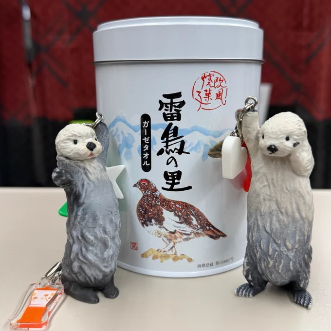 雷鳥の里🐥🐧とちびメイキラ🦦🦦