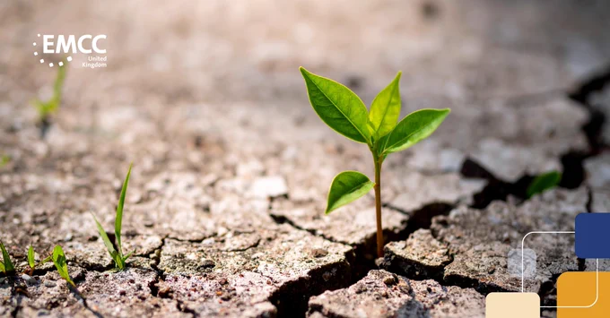 A small green plant sprouting from dry, cracked soil symbolizing growth and resilience.