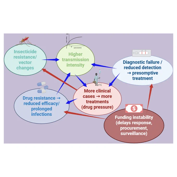 World malaria report 2025: Growing biological threats, shrinking resources
