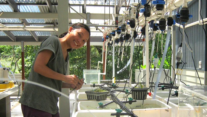 Dr Ow Yan Xiang conducts research on seagrass, which are the only flowering plants found in coastal waters. Photo: Catherine Collier.