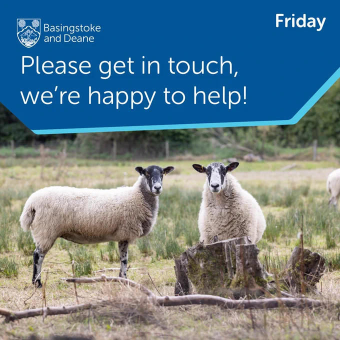 Two sheep in a field. Basingstoke and Deane Borough Council logo. Text says: "Friday. Please get in touch, we're happy to help!"
