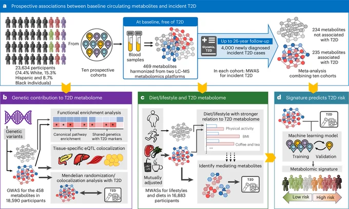 Fig 1: Study overview. https://doi.org/10.1038/s41591-025-04105-8
