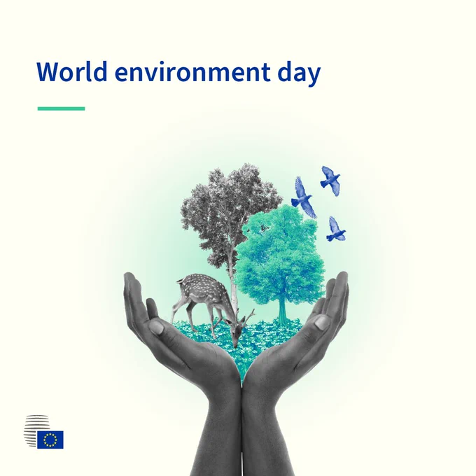 Illustration for World Environment Day showing two cupped hands holding a small natural scene with trees, flowers, a deer and flying birds, symbolising protection of nature.