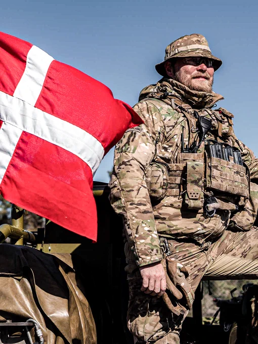 A Danish soldier standing beside the Danish flag.