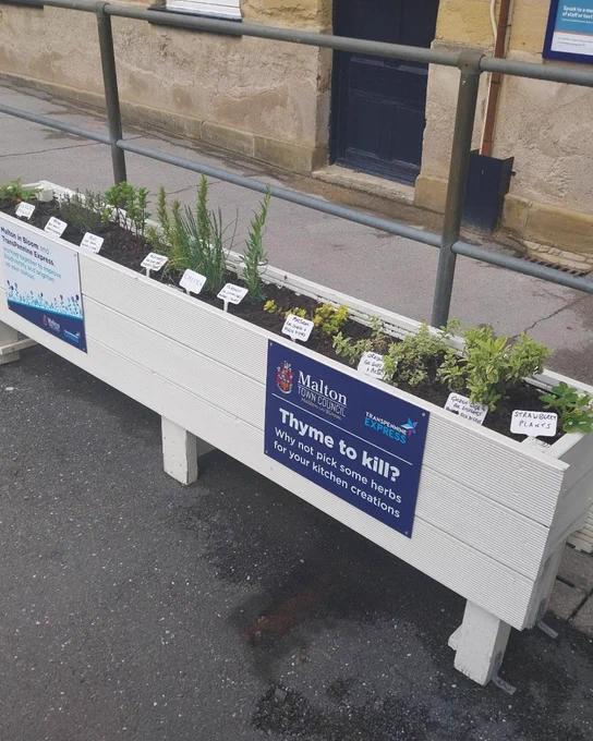 A white planter box filled with herbs and plants, with signs identifying them and promoting local initiatives.