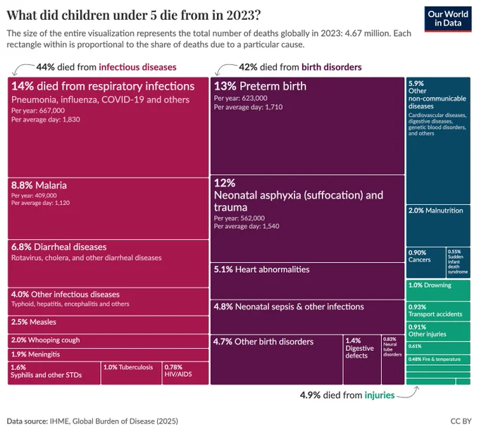 Treemap of causes of death among children under 5 in 2023 where each rectangle’s size represents the share of the global total of 4.67 million deaths. The chart shows infectious diseases and birth disorders make up the largest shares (about 44% and 42% respectively), with leading individual causes including respiratory infections, preterm birth, and neonatal asphyxia, while injuries and non‑communicable causes account for much smaller shares. Data source: IHME, Global Burden of Disease (2025). License: CC BY.