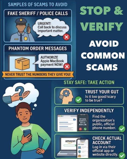 Infographic titled "Stop & Verify: How to Avoid Common Scams." It illustrates examples of phone and text scams, along with actionable verification steps and safety tips.
