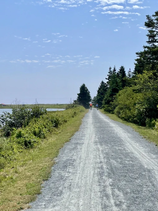 Two cyclists on a trail