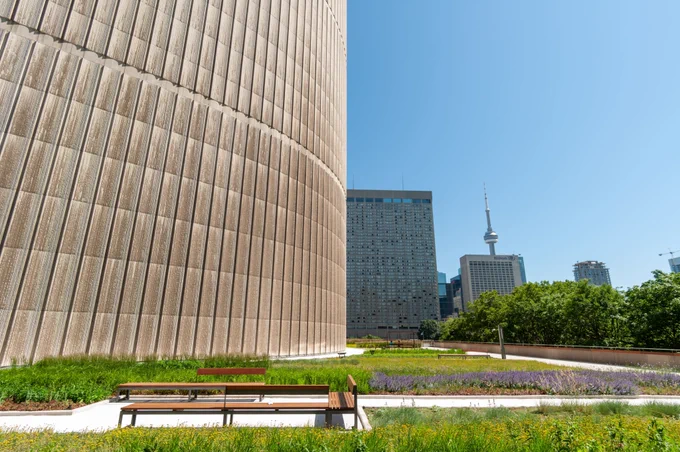  View from a green roof in Toronto, Ontario.