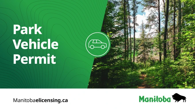 Image of a forest. Caption: Park Vehicle Permit. manitobaelicensing.ca.