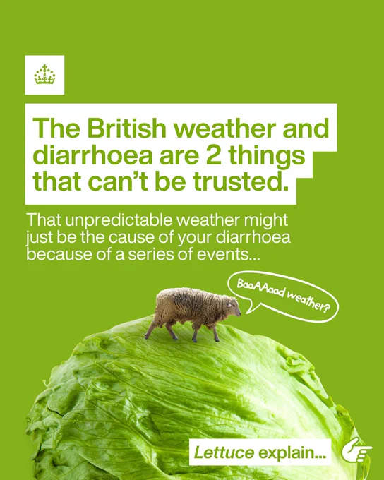The British weather and diarrhoea are 2 things that can’t be trusted.
That unpredictable weather might just be the cause of your diarrhoea because of a series of events...
BaaAAAaad weather?
Lettuce explain…