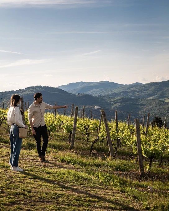 Two people standing in a Marchesi Frescobaldi vineyard. The Man pointing at a panoramic view of the Tuscan Apennine mountains from the Marchesi Frescobaldi vineyard.