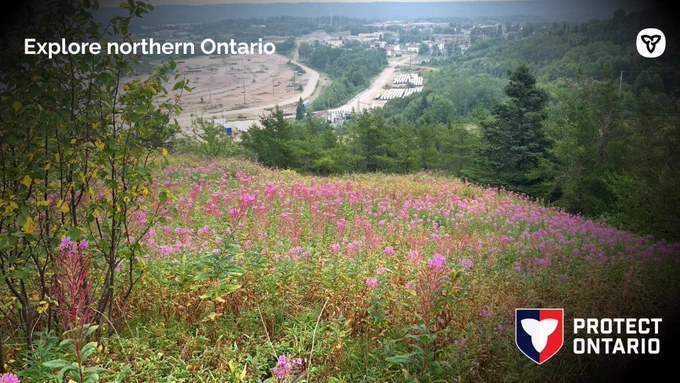 Shareable copy: Explore northern Ontario 

Alt text: A meadow. 