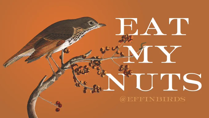 A painting of a bird next to the words "eat my nuts"