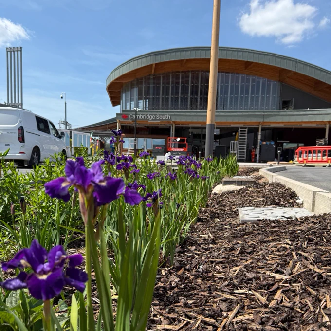 A view of Cambridge South station with a curved roof. Purple flowers are in the foreground. The sky is clear with a few clouds.