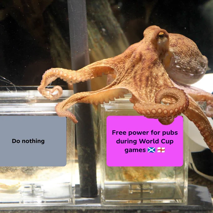 Paul Octopus choosing between "Free power for pubs during World Cup games" or do nothing