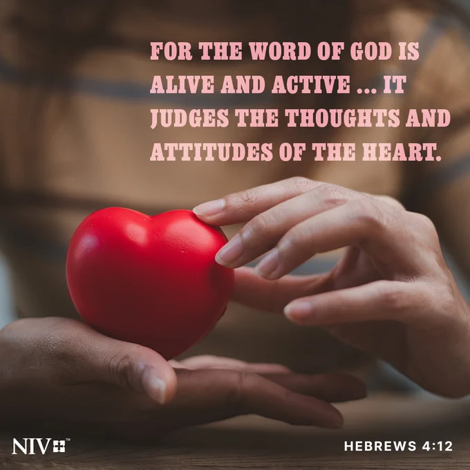 A person seated with a heart in their hands and the Hebrews 4:12 NIV Bible verse; "For the word of God is alive and active... it judges the thoughts and attitudes of the heart."
