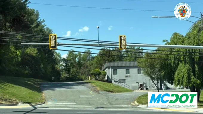 Quiet intersection with traffic lights and a small gray building surrounded by trees under a clear blue sky.