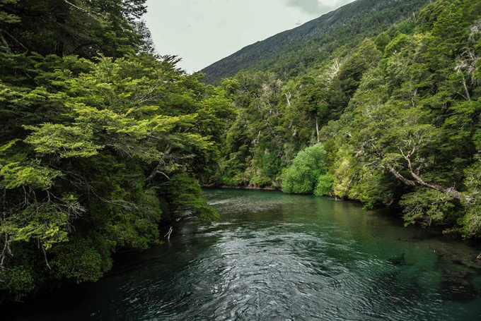 Picturesque view of narrow river between lush green trees growing in mounts under cloudy sky