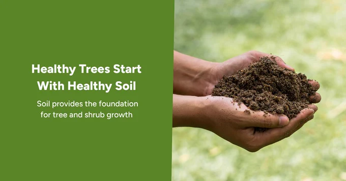 hands holding soil