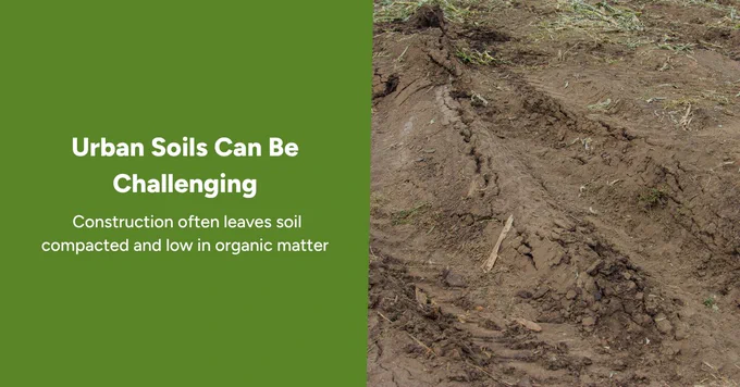 brown compacted soil