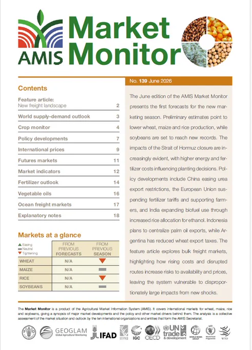 First page of the June AMIS Market Monitor, presenting the table of contents, markets at a glance and a short text introducing this June edition