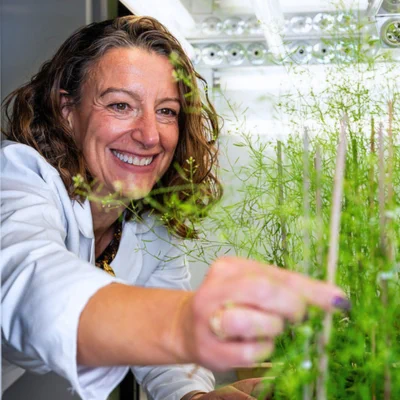 Federica Brandizzi works in her lab on the campus of Michigan State University.