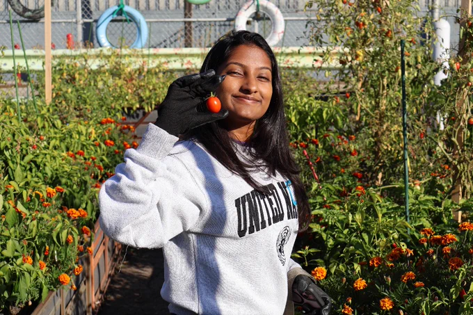 Smiling young woman in a garden holding a small red cherry tomato near her face, wearing a glove and light sweatshirt