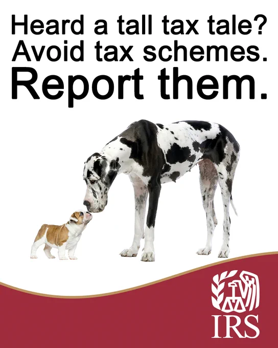 A Bulldog puppy looks up to a Great Dane. Text: Heard a tall tax tale? Avoid tax schemes. Report them. IRS logo.