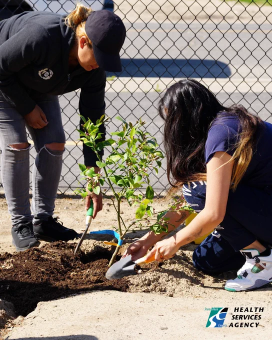 Two women planting a plant.
Dos mujeres plantando una planta.