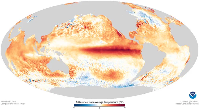 El Niño warming of the tropical eastern Pacific Ocean in November 2015. Photo credit: NOAA Climate.gov.