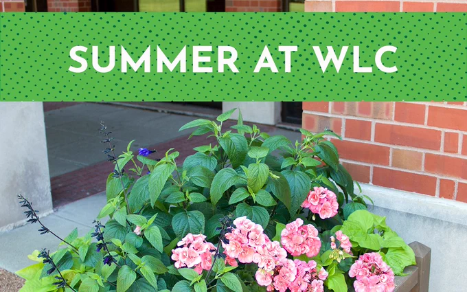 Summer at WLC