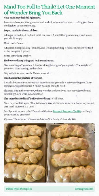 Screenshot essay titled "Mind Too Full to Think? Let One Moment of Wonder Bring You Back". The text discusses the overwhelming nature of a busy mind filled with distractions, urging readers to seek simplicity and find wonder in ordinary moments, such as steam from tea or a bird in the garden. It highlights that focusing on small, simple experiences can quiet a racing mind and lead to a sense of grounding and presence. The author shares a personal learning from the convent about finding the sacred in the ordinary. The essay concludes with a reminder that while the mind may fill again, small practices of wonder help one return to themselves. Includes a link to a Burnout Recovery Toolkit.