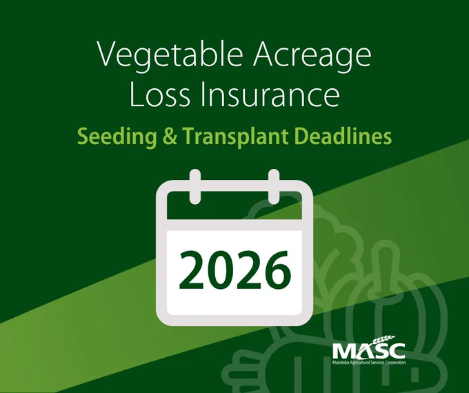2026 deadlines for seeding and transplanting under Vegetable Acreage Loss Insurance by MASC.