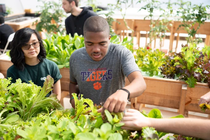 Disabled youth over a greenhouse garden bed, a young Black man in a Clemson t-shirt, and a young Asian American woman in an Equip t-shirt.