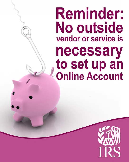 Pink piggy bank with a fishing hook above it. Text: Reminder: No outside vendor or services is necessary to set up an Online Account. IRS logo.