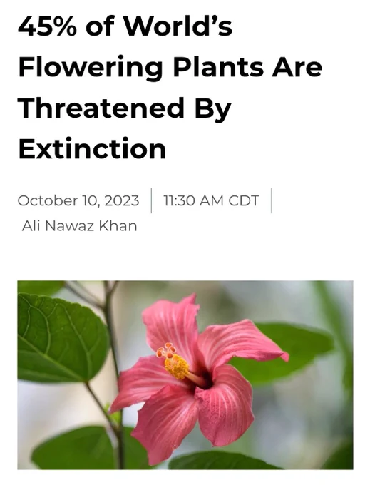 45% of World's Flowering Plants  Are  Threatened By Extinction 