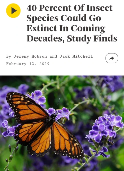 40 Percent Of Insect Species Could Go Extinct In Coming Decades, Study Finds

Jeremy Hobson

Jack Mitchell

February 12, 2019



