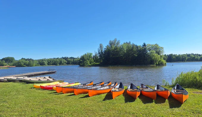A line of bright orange kayaks on the grass beside a tranquil lake with a dock and a lush green island in the background on a sunny day.