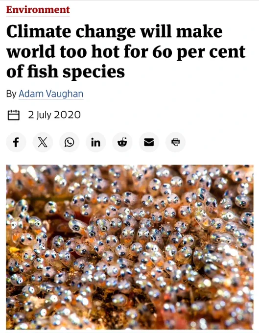 Climate change will make it too hot for 60% of fish species 