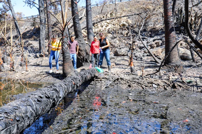 A group of individuals stands near a waterbody in a charred and barren landscape. Burned trees are scattered around, and a large fallen tree trunk lies near the water's edge.