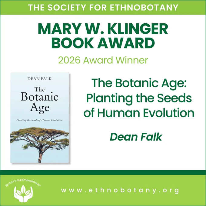 Award announcement graphic for the Society for Ethnobotany. A dark green banner at the top reads "The Society for Ethnobotany." Below, bold dark green text reads "Mary W. Klinger Book Award" with "2026 Award Winner" in lighter green beneath it. To the left is an image of the book cover for "The Botanic Age: Planting the Seeds of Human Evolution" by Dean Falk, featuring an illustrated acacia tree against a light blue background. To the right, the book title and author name are displayed in dark green text. The bottom section shows the Society for Ethnobotany logo alongside the website www.ethnobotany.org on a green background.