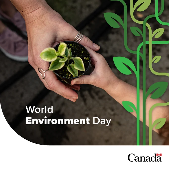 A close-up image of two hands holding a small potted plant. The adult hand is adorned with rings, while a child’s hand reaches out from the bottom. The text “World Environment Day” is prominently displayed, accompanied by green plant graphics and the Canada logo.